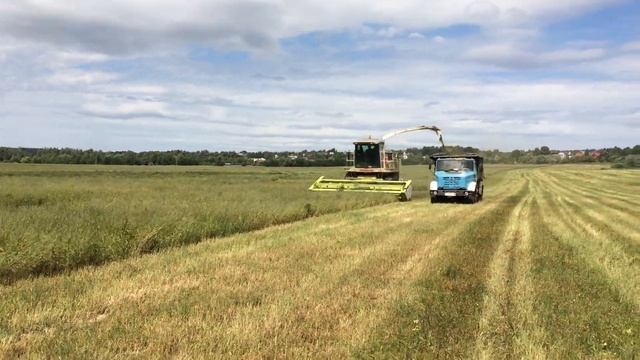 Комбайн CLAAS JAGUAR c жаткой Марал-Инвест 5,1 м. смотреть онлайн