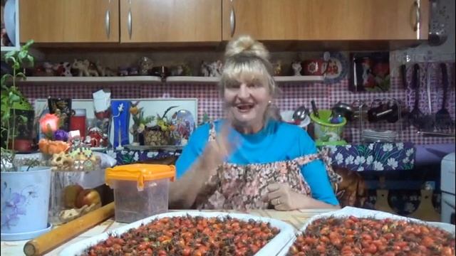 Полезные плоды Шиповник смотреть онлайн