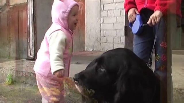 Научи меня Боже волю Твою исполнять смотреть онлайн