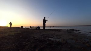 Ловим карпят на водохранилище.Фронтовое,Крым.