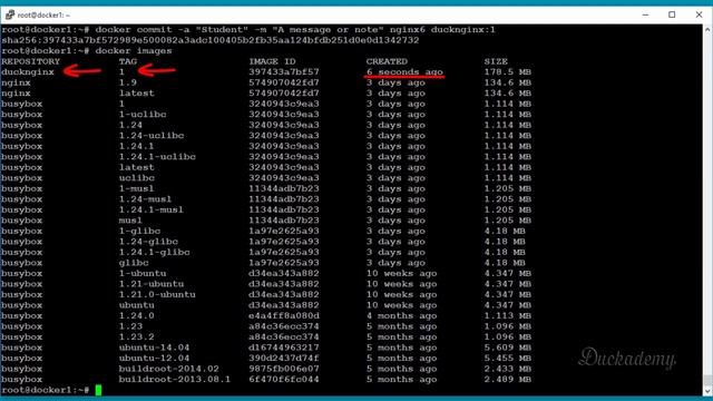 How to manage Docker images - Docker tutorial for beginners смотреть онлайн