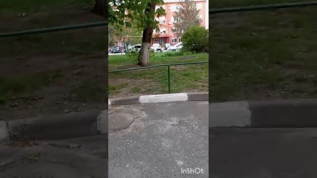 Обзор на мой двор