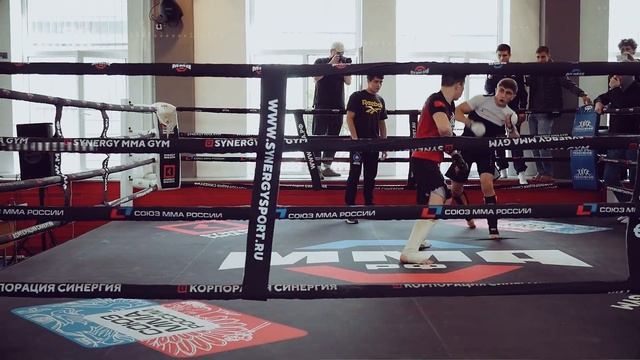 Соревнования по MMA в Synergy Fight Club смотреть онлайн