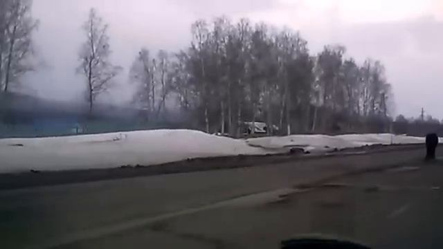 Лошадь ест асфальт смотреть онлайн