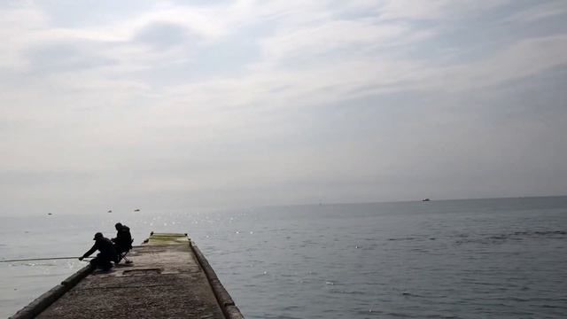 25.03.2020 Погода в Сочи в марте. Смотри на Чёрное море каждый день. смотреть онлайн