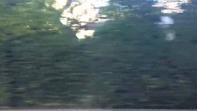 Америка. Январь 2016 смотреть онлайн