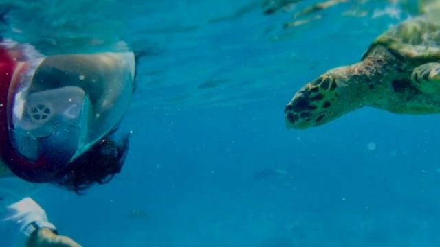 La Digue смотреть онлайн