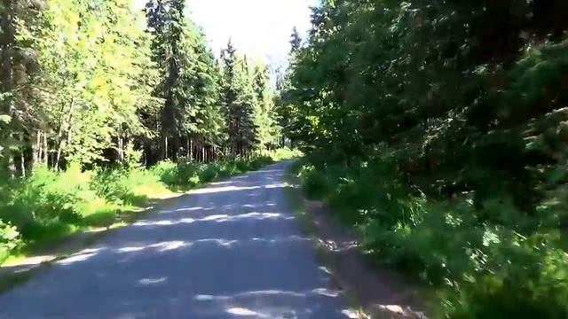 #316 США Аляска Анкоридж Летний лес Велосипедная дорожка от дома до озера смотреть онлайн