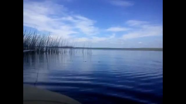 Как ловить плотву. How to catch roach . смотреть онлайн