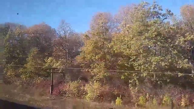 9,10,2019 Краски осени дорога домой поезд Мариуполь Одесса. смотреть онлайн