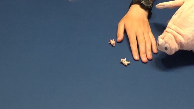 Pass the pigs: Cómo jugar + Partida смотреть онлайн