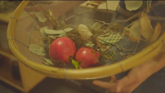 Inside SoCal: A Forest For The Trees (10/16)