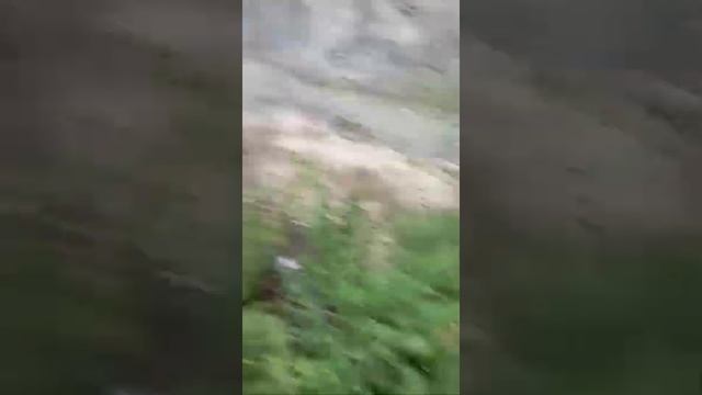 сегодня в Тырныаузе сель #тырныауз#кбр#россия#сельскоехозяйство смотреть онлайн