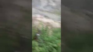 сегодня в Тырныаузе сель #тырныауз#кбр#россия#сельскоехозяйство