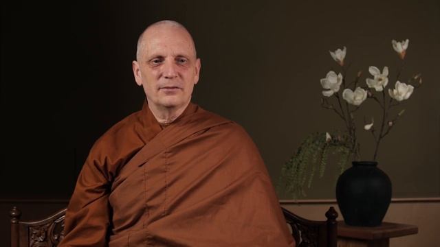 Virtual Metta Retreat (5): Unlimited Treasure смотреть онлайн