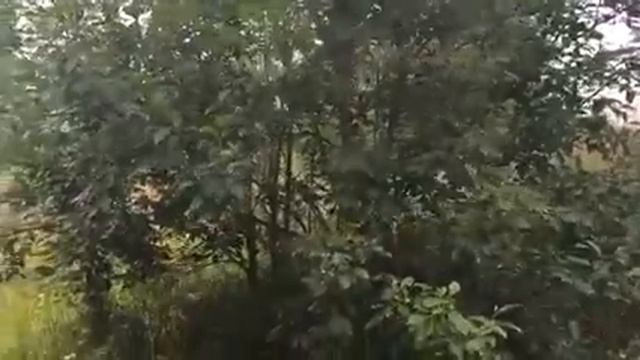 Дубровец Дача наш город солнца смотреть онлайн