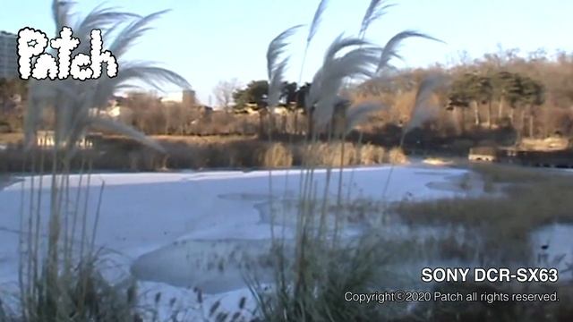 SONY DCR SX63 смотреть онлайн