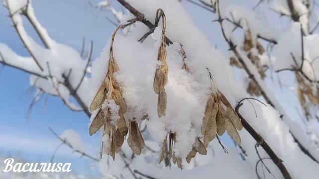 28 января народный праздник Павлов день. Что нельзя делать. Народные традиции и приметы. смотреть онлайн
