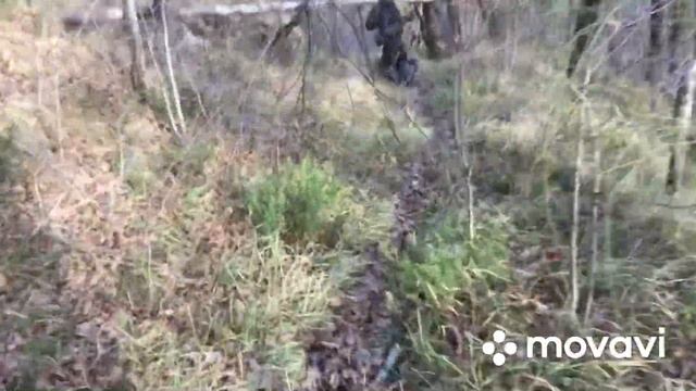 Лютые эндуро подъемы на скутерах смотреть онлайн