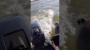 Тарпон 9.9. Лодка риф 360 нднд замер скорости!