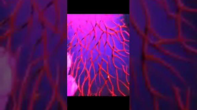 Праздничный коктейль эмоций