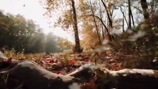 СУДЬБА... Евгений Путилов. смотреть онлайн