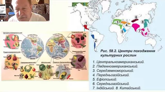 9 клас Лекція Селекція смотреть онлайн