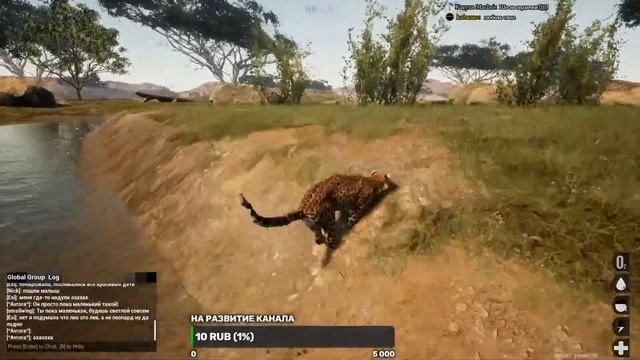 #AnimalaSurvival#Animalia#Африка#Животные#Выживание#Птицы#Animalia Survival выживаем а Африке смотреть онлайн