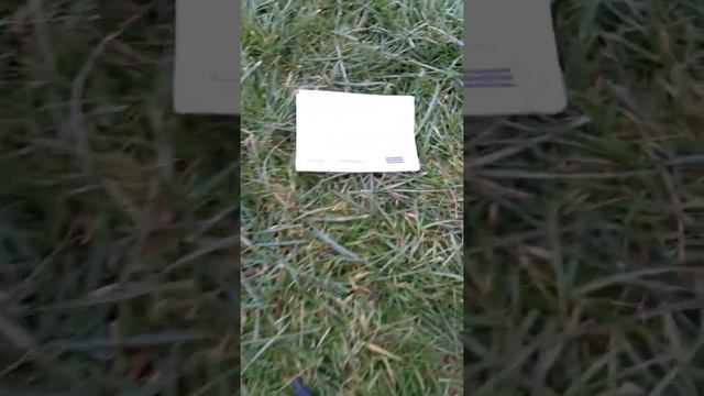 Minelab 3030 coin test смотреть онлайн