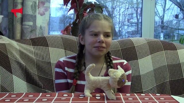 Дорога Домой. Сюжет про усыновление смотреть онлайн