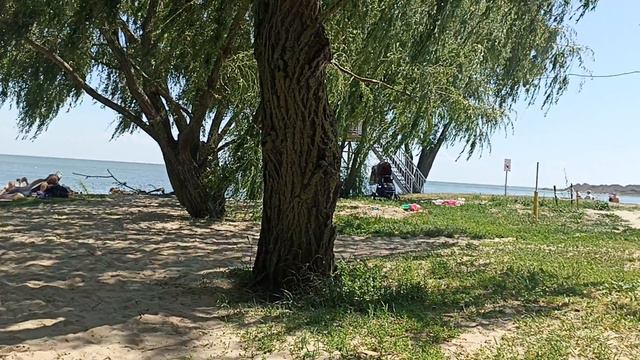 Прогулка по пляжу. смотреть онлайн