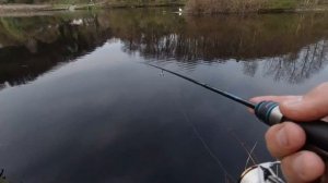 Ловля на мормышку. Metsui Trigger S562XUL