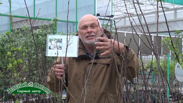 Строительный Клуб