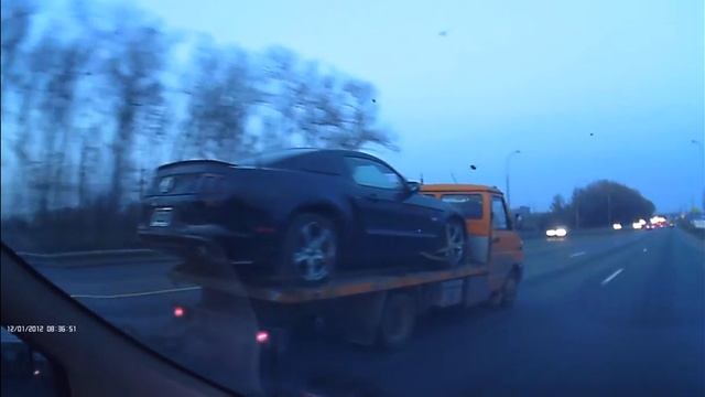 Mustang`s смотреть онлайн