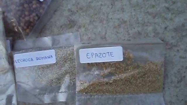 DONDE COMPRAR SEMILLAS // VENTA DE SEMILLAS // MAYOREO Y MENUDEO // semillas de hortaliza смотреть онлайн