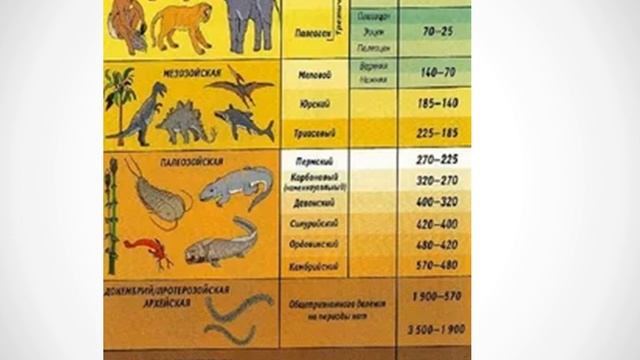 Развитие земной коры смотреть онлайн