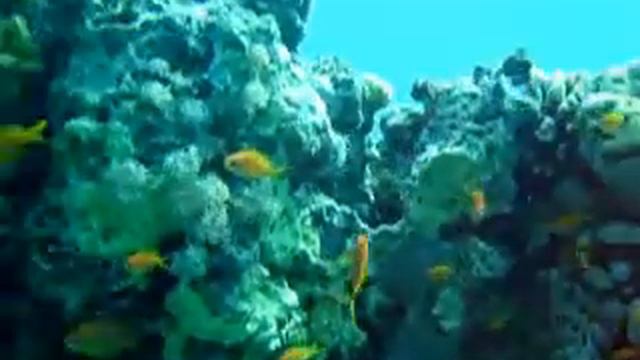 Farun Island 0001 смотреть онлайн
