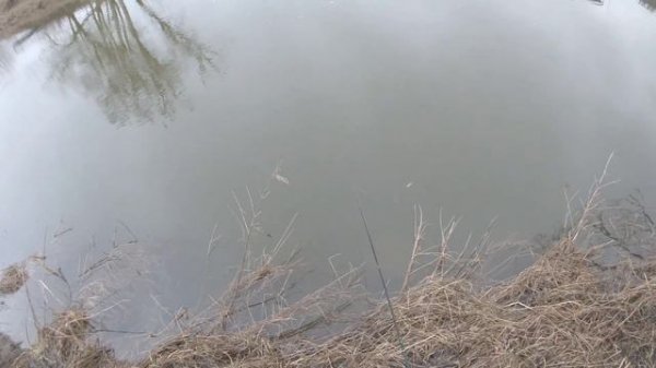 Новинка от ASINIA Копия на LUCKY CRAFT POINTER 65 SP!