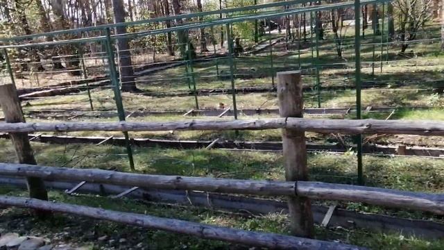 Турбаза Архангельская слобода, Ульяновск. Отрывок. смотреть онлайн