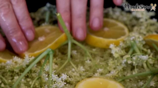 Domaći sok (sirup) od Bazge (Zove) na jednostavan način bez kuvanja смотреть онлайн
