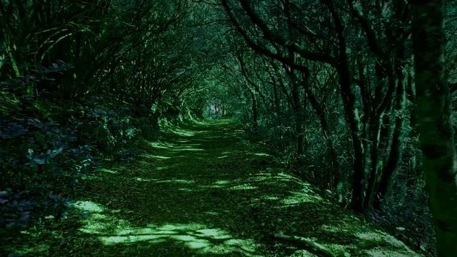 ⭐️ ВЗЯЛ TELEGRAM PREMIUM | СТОИТ ЛИ ОНО ТОГО?