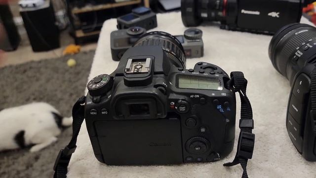 Cameras I use for Youtube смотреть онлайн