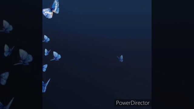 "Сердце сжатое горькой обидой" смотреть онлайн