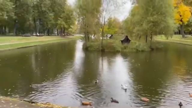 ЛЮБИТЕ ПРИРОДУ И ВСЕХ, КТО В НЕЙ ОБИТАЕТ! смотреть онлайн