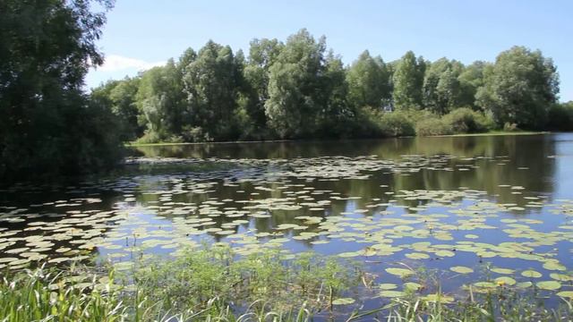 Озеро смотреть онлайн