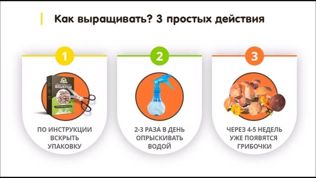 Наборы для выращивания грибов в домашних условиях «Грибной сезон» смотреть онлайн
