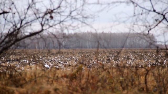 И сон их будет бесконечен и колыбель на всех одна Обзор Кладбища. смотреть онлайн
