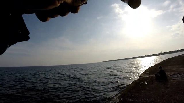 морская рыбалка ловля саргана на балтийском море смотреть онлайн