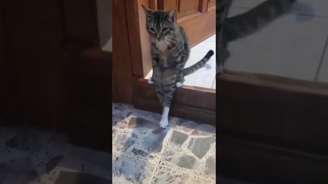 Посижу не много смотреть онлайн