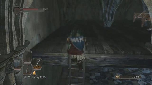 Dark Souls II Sl1 [01] - Стрим 15/05/2014